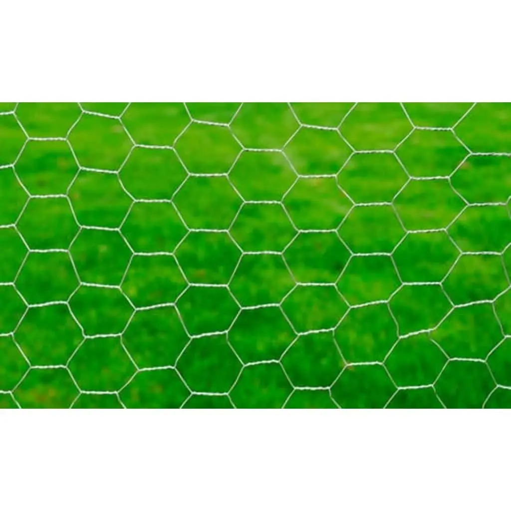 Chicken Wire Fence Galvanised Steel 25x1m Poultry Netting Silver