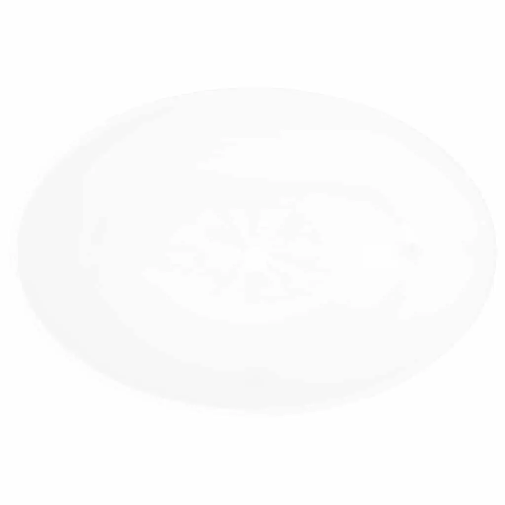 Oval Ceramic Basin Bathroom Sink White Washroom Vessel 40 x 33 cm