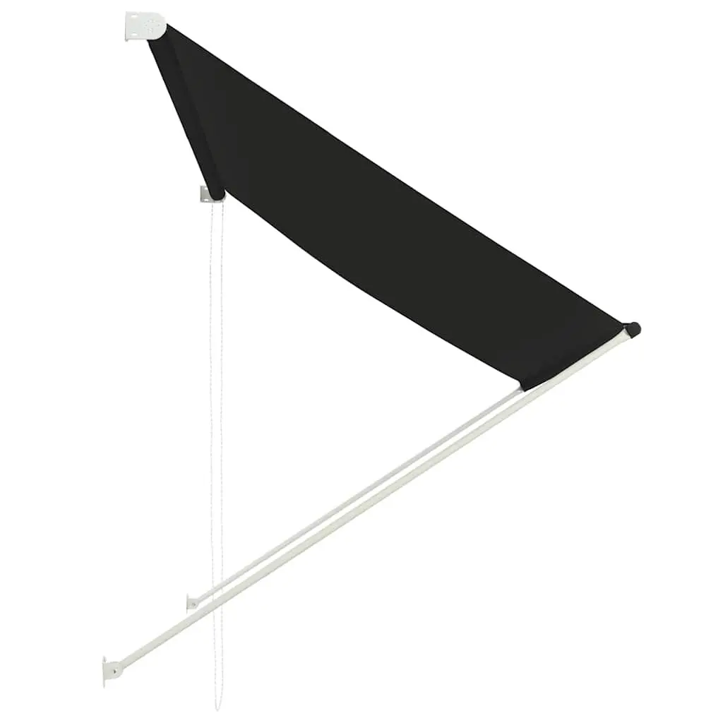 Retractable Awning Window Balcony Terrace Garden Shade 200x150cm Anthracite