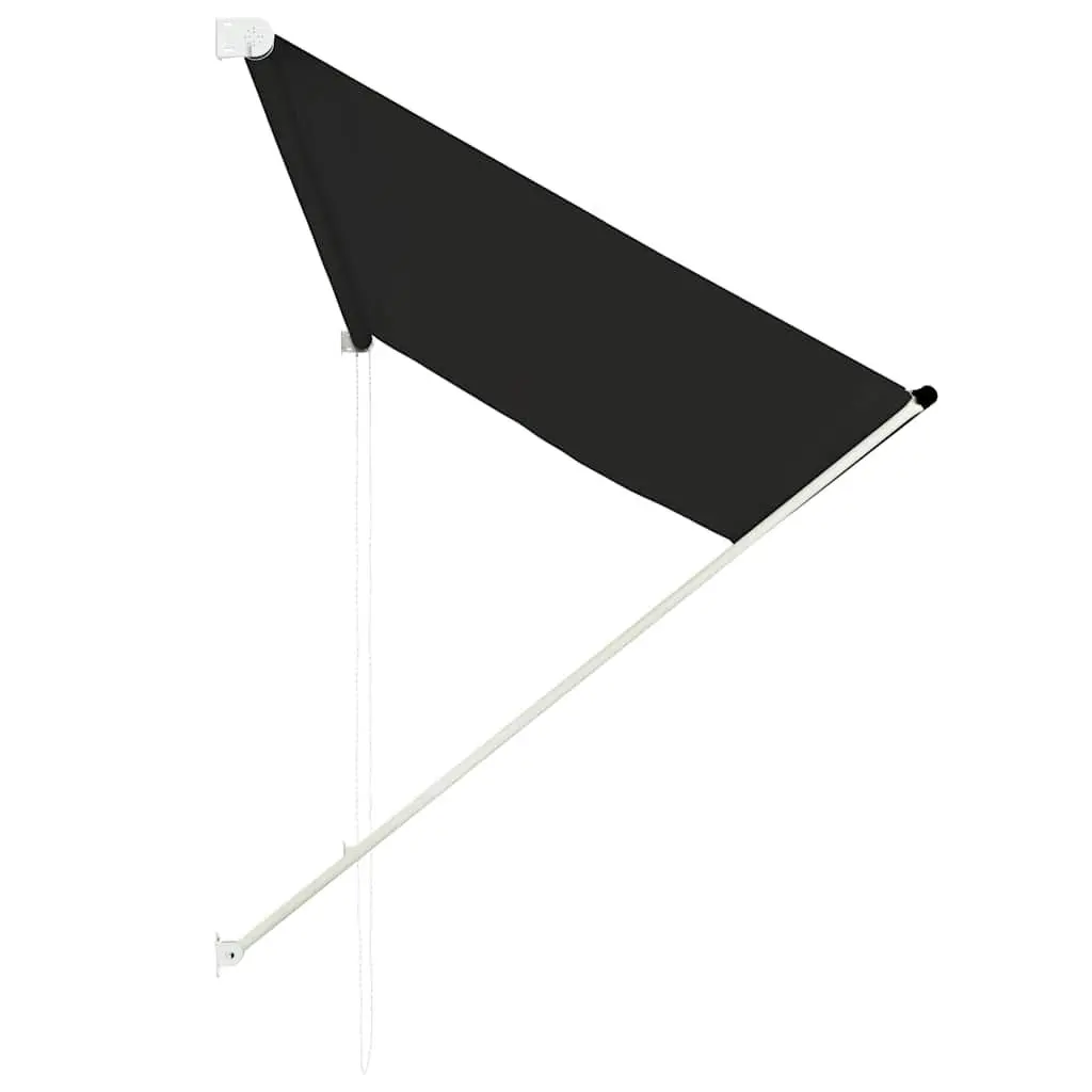 Retractable Awning Window Door Terrace Balcony 250x150 cm Anthracite