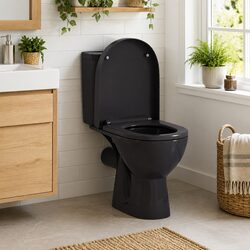 Soft-close Toilet Seat Quick-release Design Black Standard Bowl Bathroom