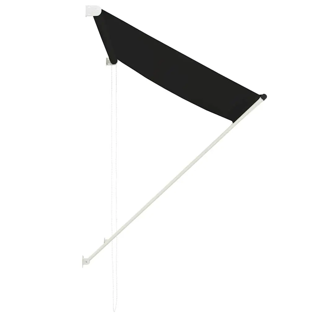 Retractable Awning Window Terrace Balcony Garden Canopy 100x150 cm Anthracite