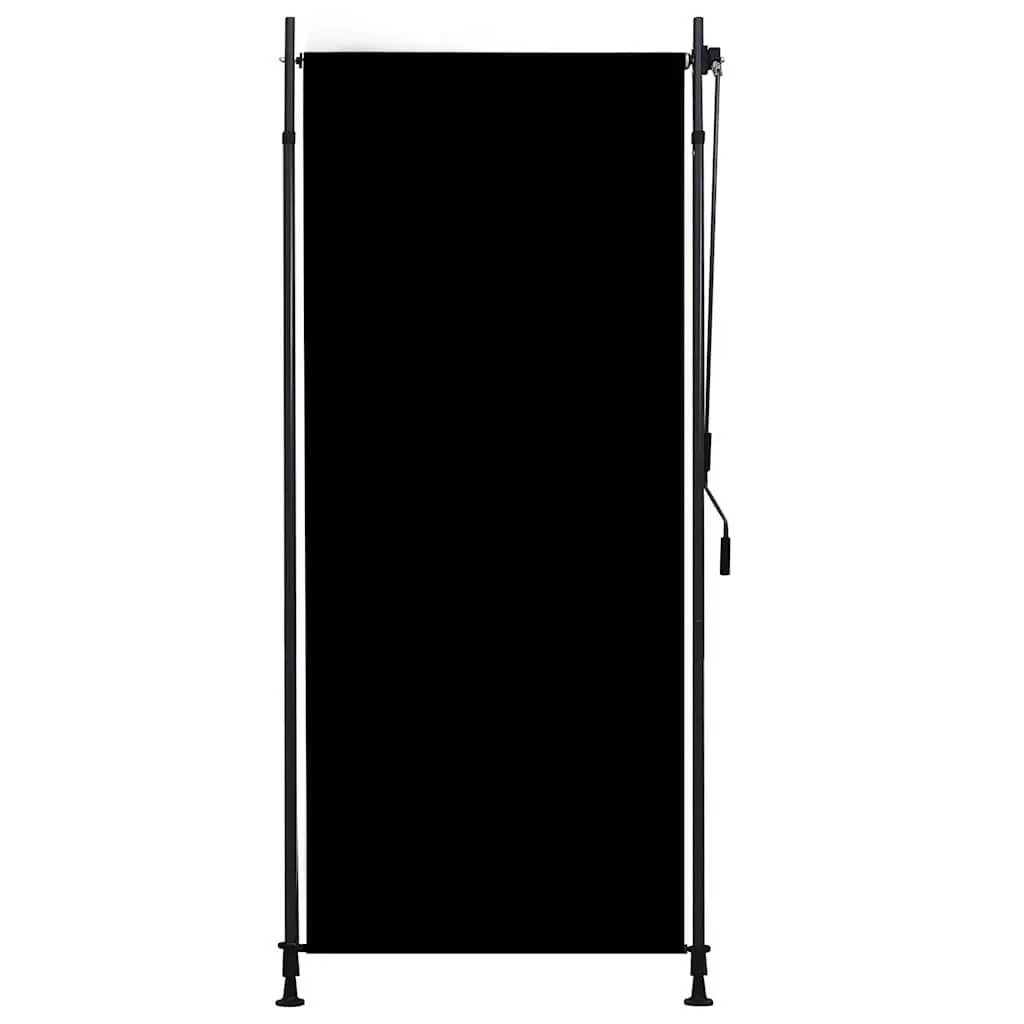 Outdoor Roller Blind Privacy Shade 100x270cm Anthracite