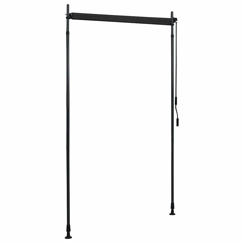 Outdoor Roller Blind Hand Crank 120x270cm Anthracite Patio Balcony Shade Privacy