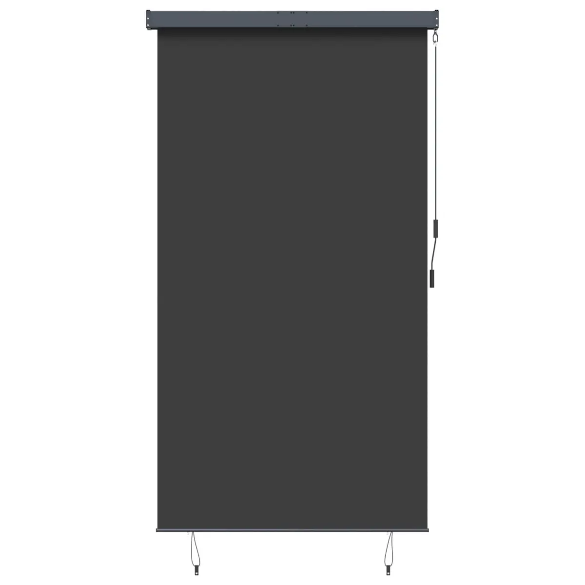 Outdoor Roller Blind Hand Crank 140x250cm Anthracite Patio Garden Balcony Shade
