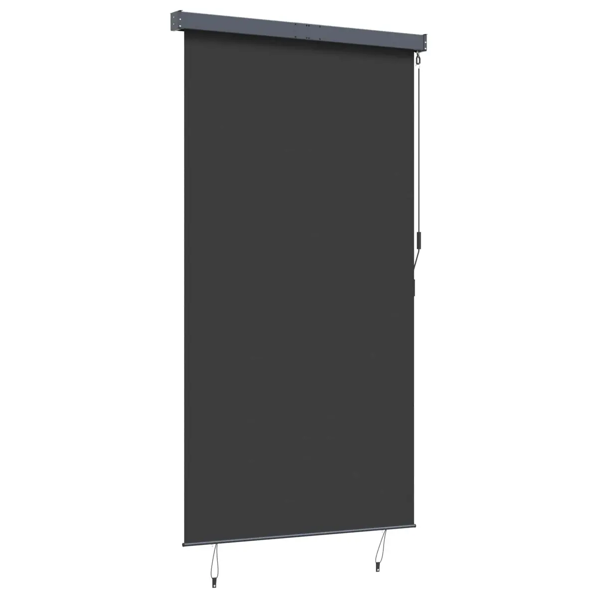 Outdoor Roller Blind Hand Crank 140x250cm Anthracite Patio Garden Balcony Shade