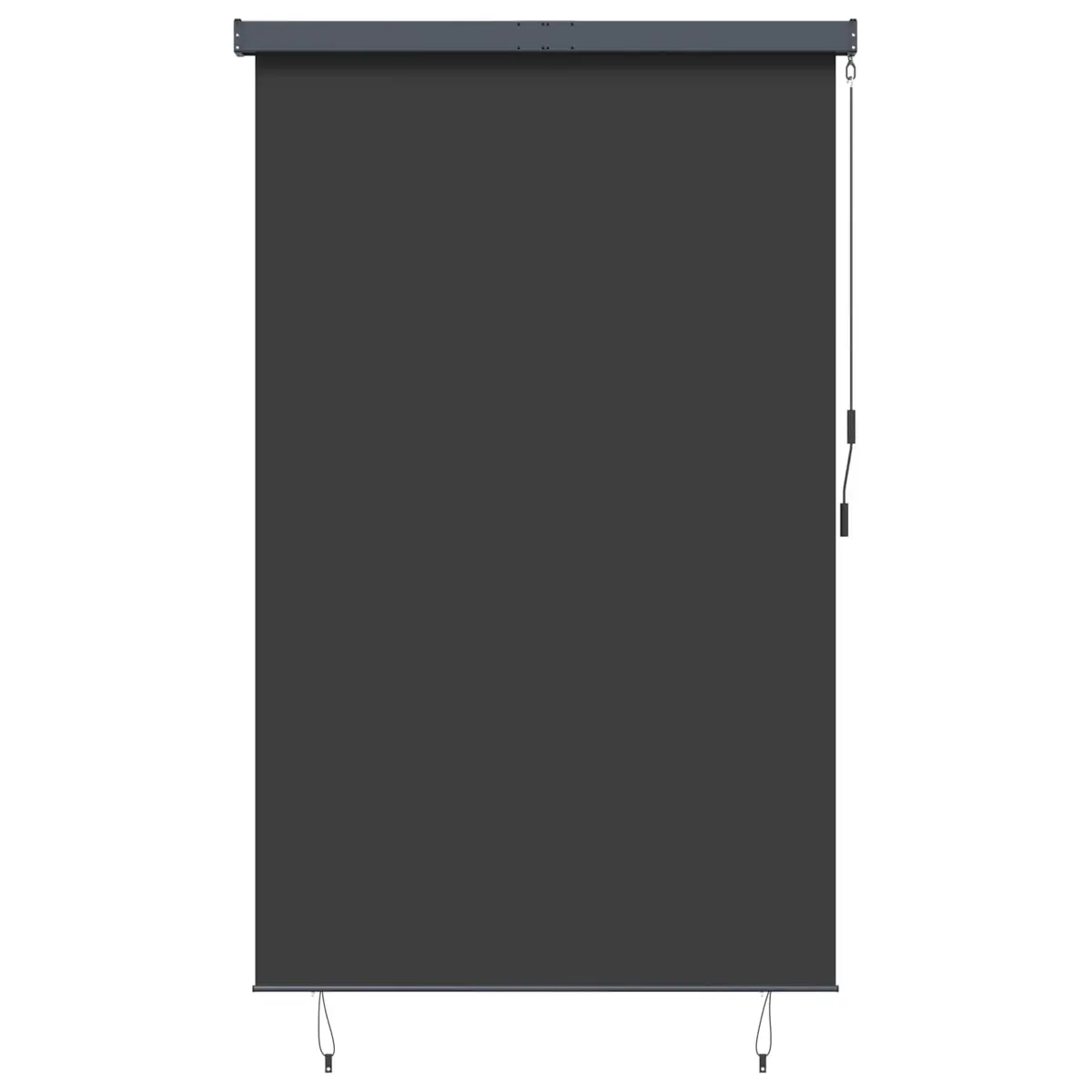 Outdoor Roller Blind Hand Crank 160x250 cm Anthracite Patio Garden Balcony Shade