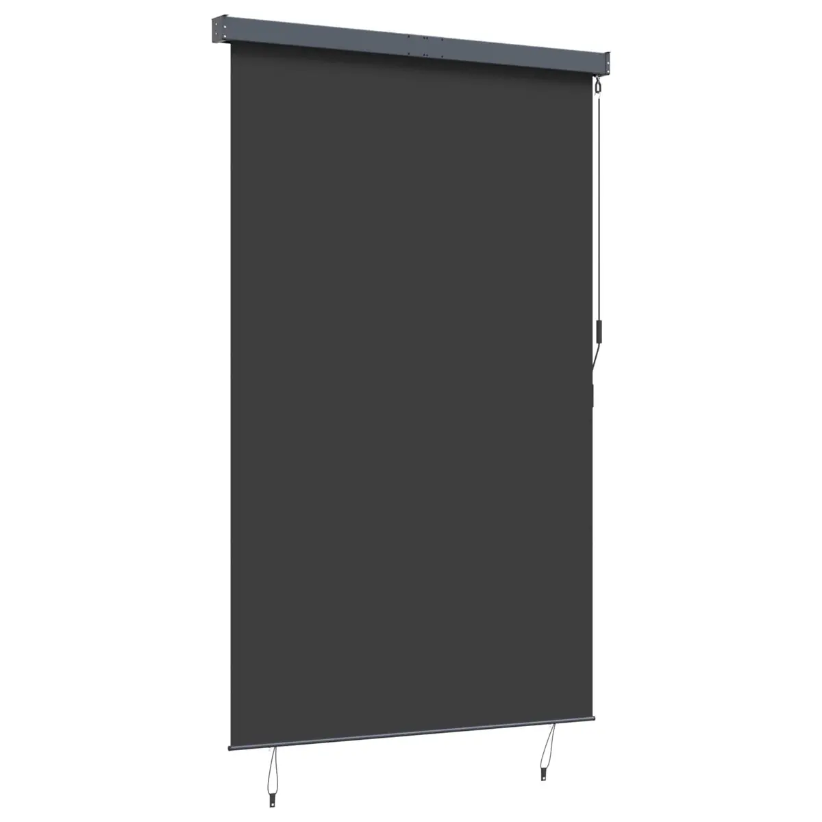 Outdoor Roller Blind Hand Crank 160x250 cm Anthracite Patio Garden Balcony Shade