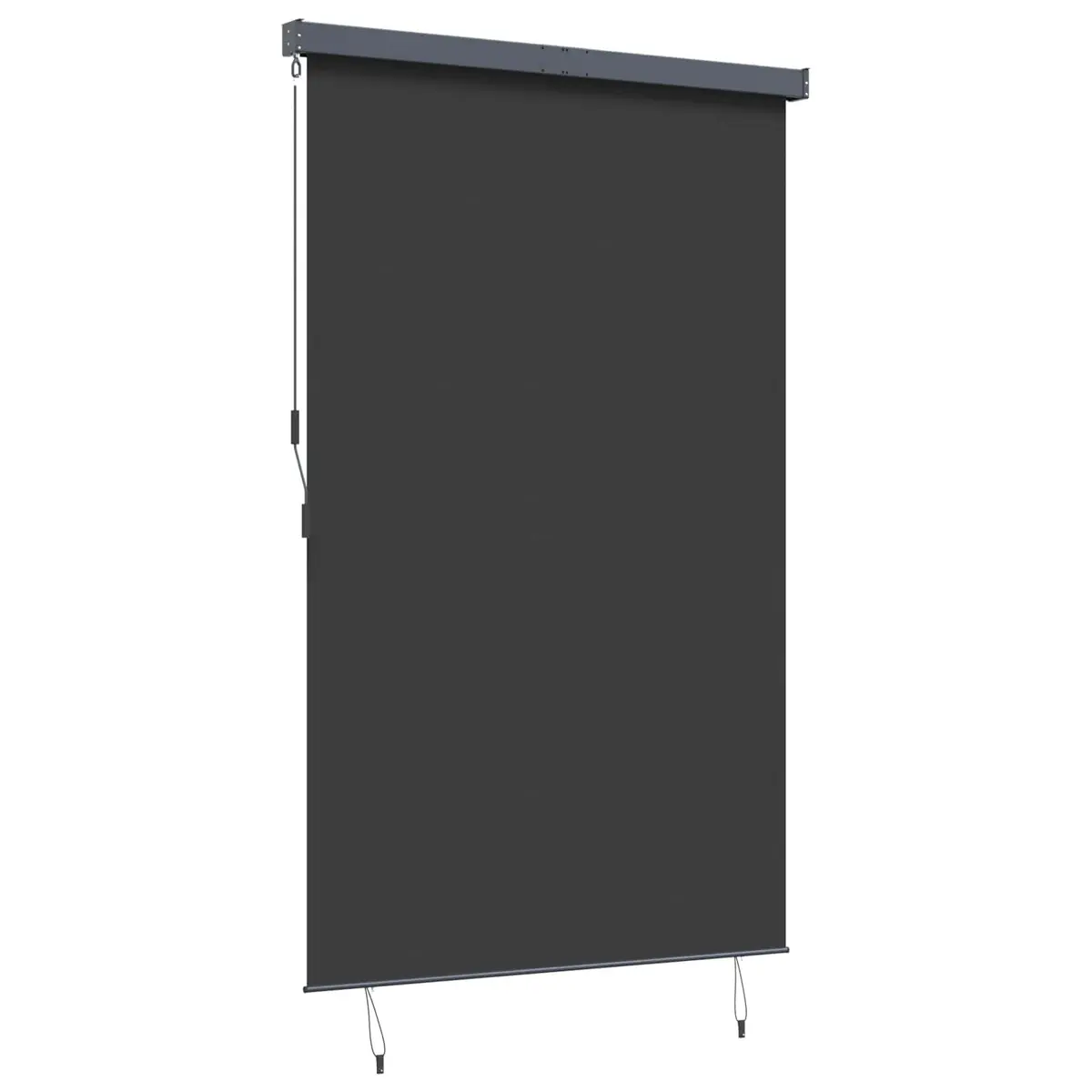 Outdoor Roller Blind Hand Crank 160x250 cm Anthracite Patio Garden Balcony Shade