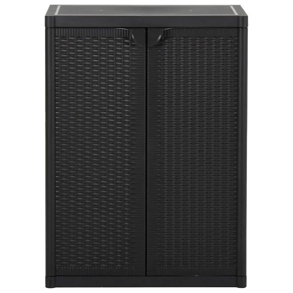 Storage Cabinet Indoor Outdoor Organizer Black 2 Shelves 65 x 45 x 88 cm
