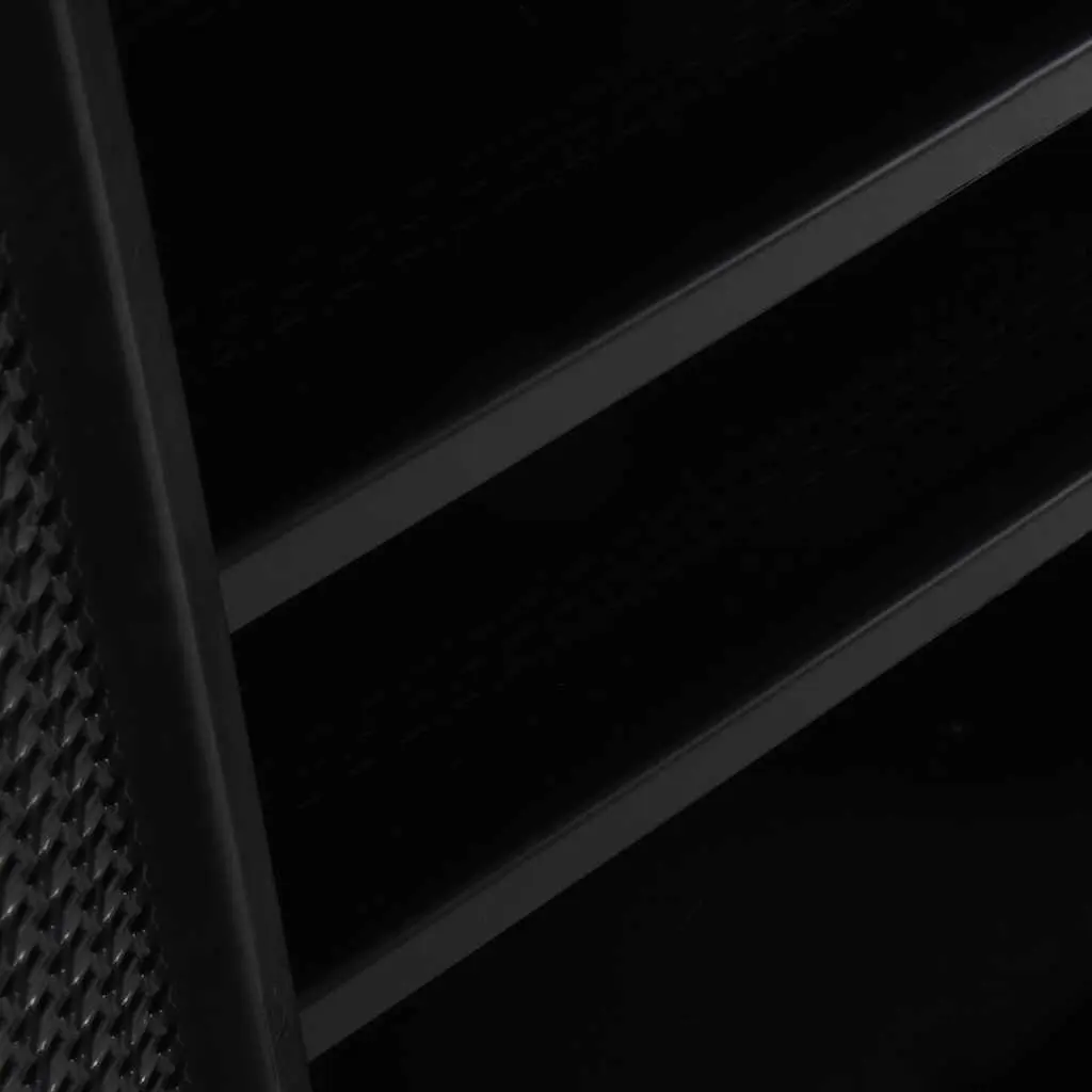 Storage Cabinet Indoor Outdoor Organizer Black 2 Shelves 65 x 45 x 88 cm