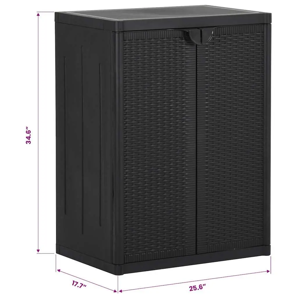 Storage Cabinet Indoor Outdoor Organizer Black 2 Shelves 65 x 45 x 88 cm