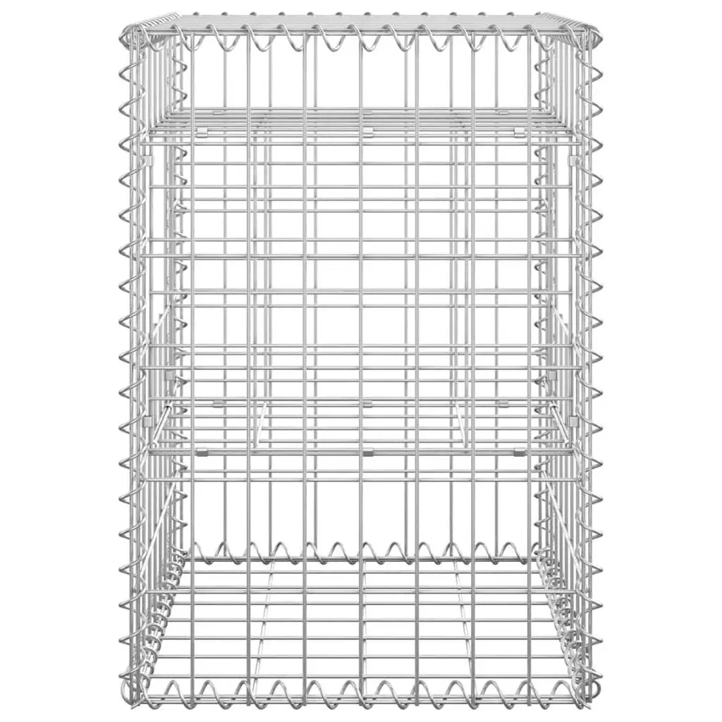 Gabion Basket Posts Garden Decoration 40x40x60 cm Iron Silver 2 Piece