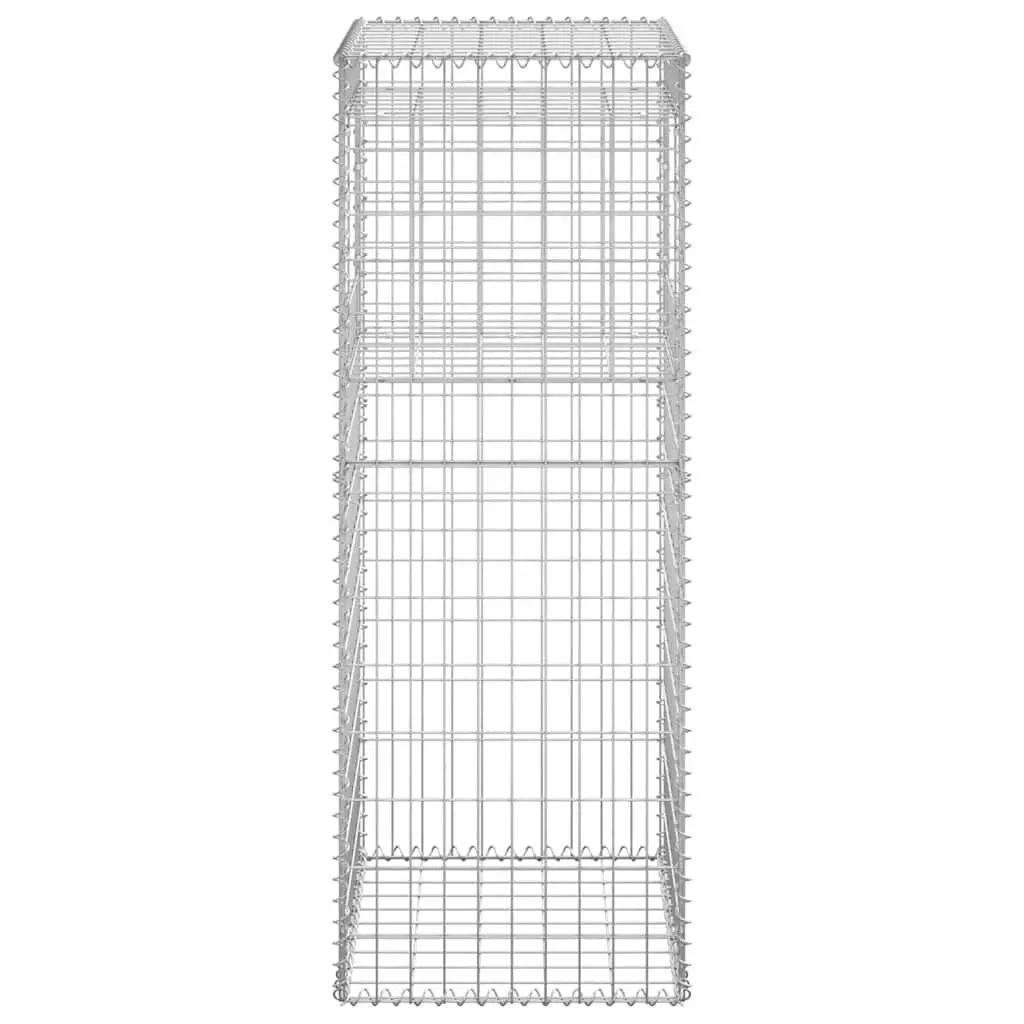 Gabion Basket Posts Garden Decor 50x50x140cm Iron Silver 2 Piece