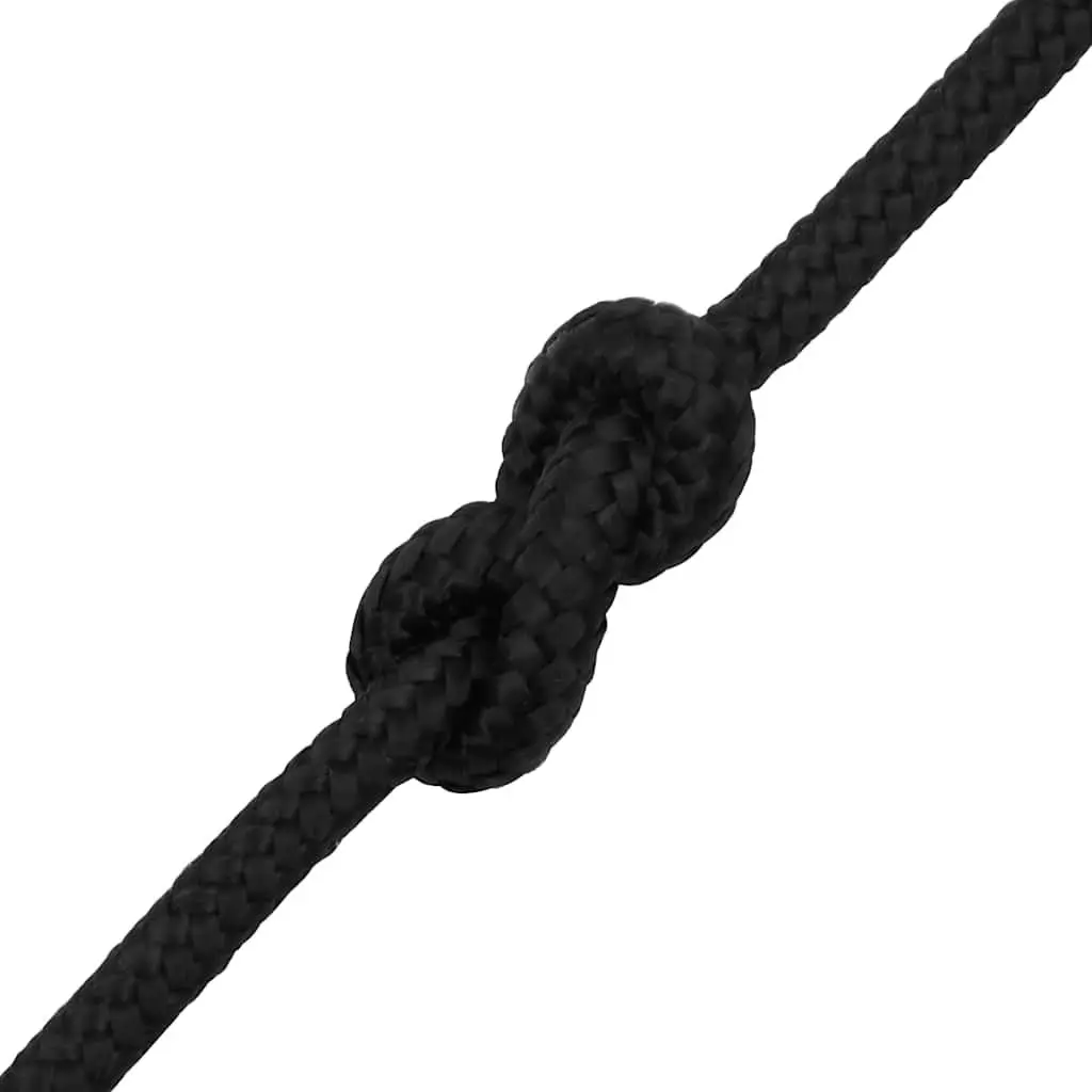 Boat Rope 50m 6mm Black Polypropylene Marine Sailing Dock Line Rigging Coil