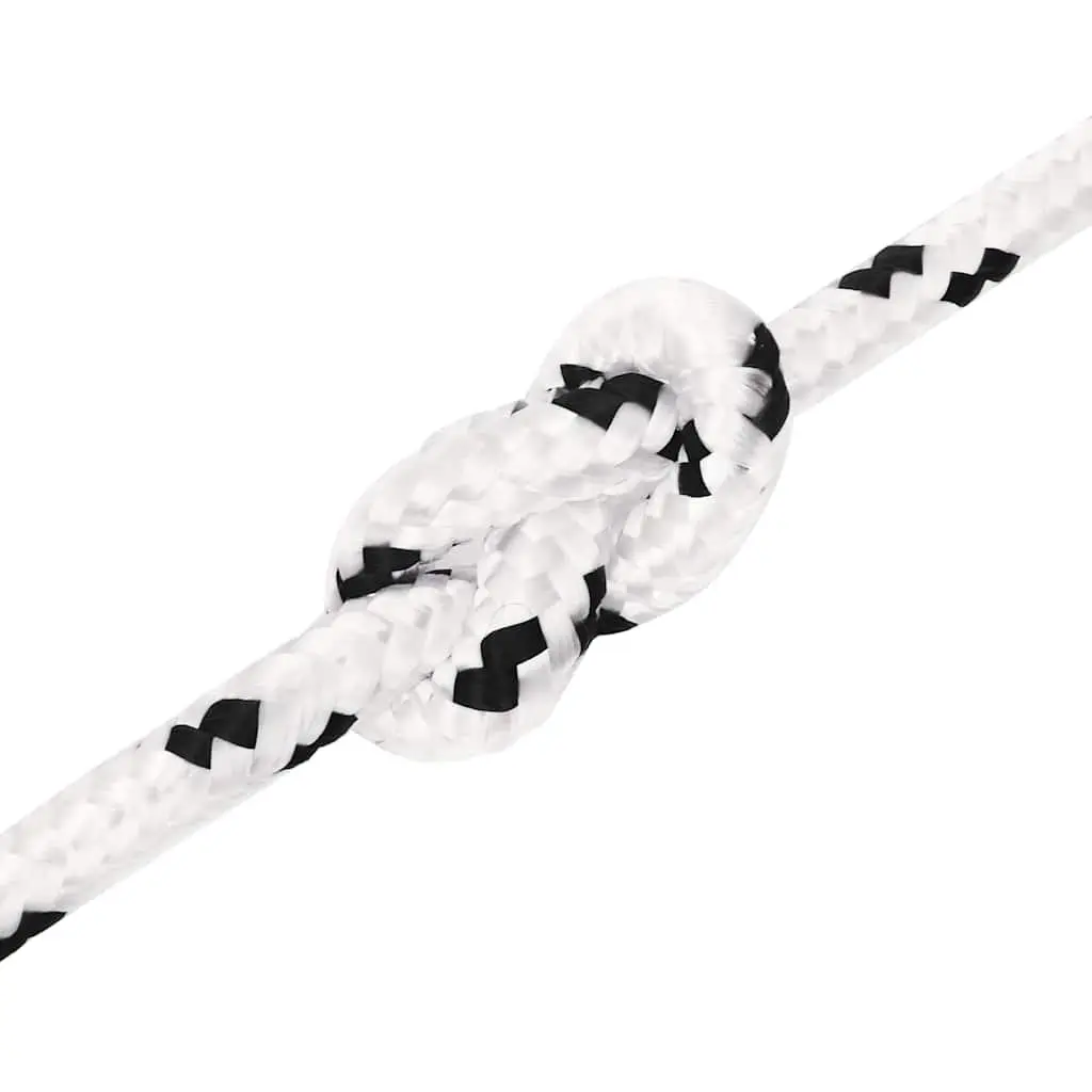 Braided Rope Marine Rigging 6mm White 100m Polyester