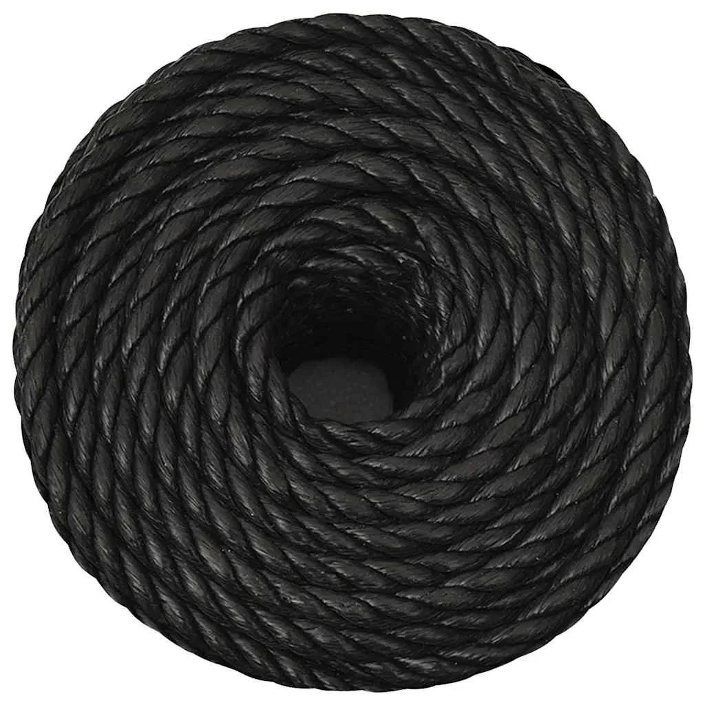 Twisted Polypropylene Rope Black 10mm 100m General Use Garden Workshop