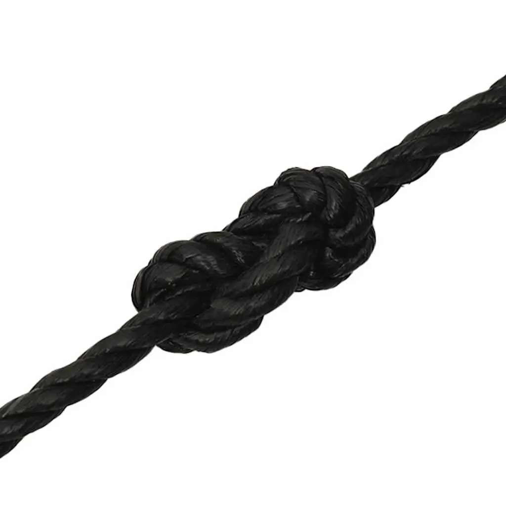 Twisted Polypropylene Rope Black 10mm 100m General Use Garden Workshop