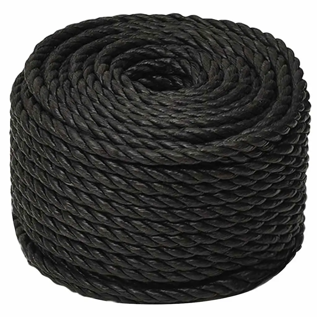 Twisted Polypropylene Rope General Use 12mm 25m Black