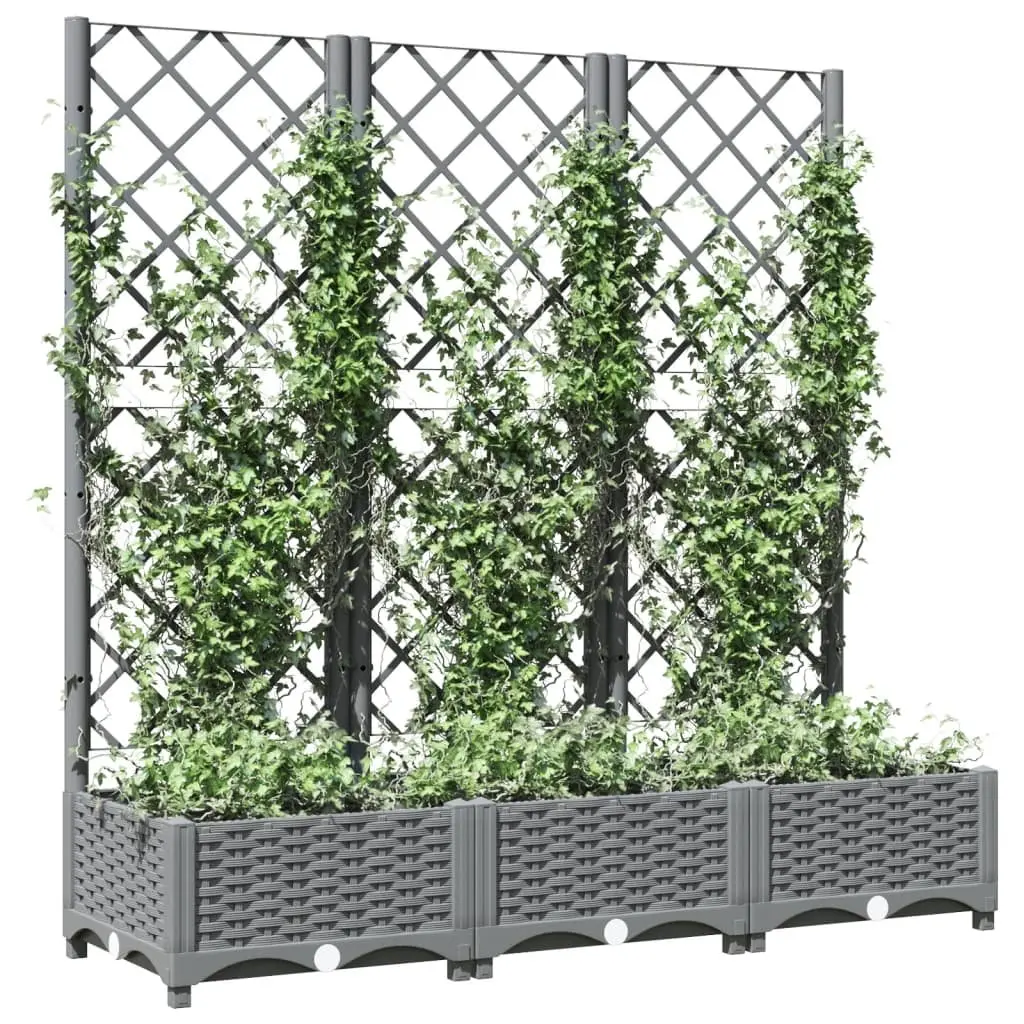Garden Planter Climbing Plants Support 120x40x121.5 cm Grey