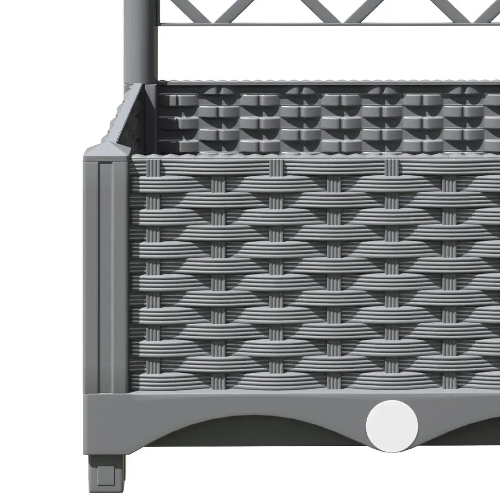 Garden Planter Climbing Plants Support 120x40x121.5 cm Grey