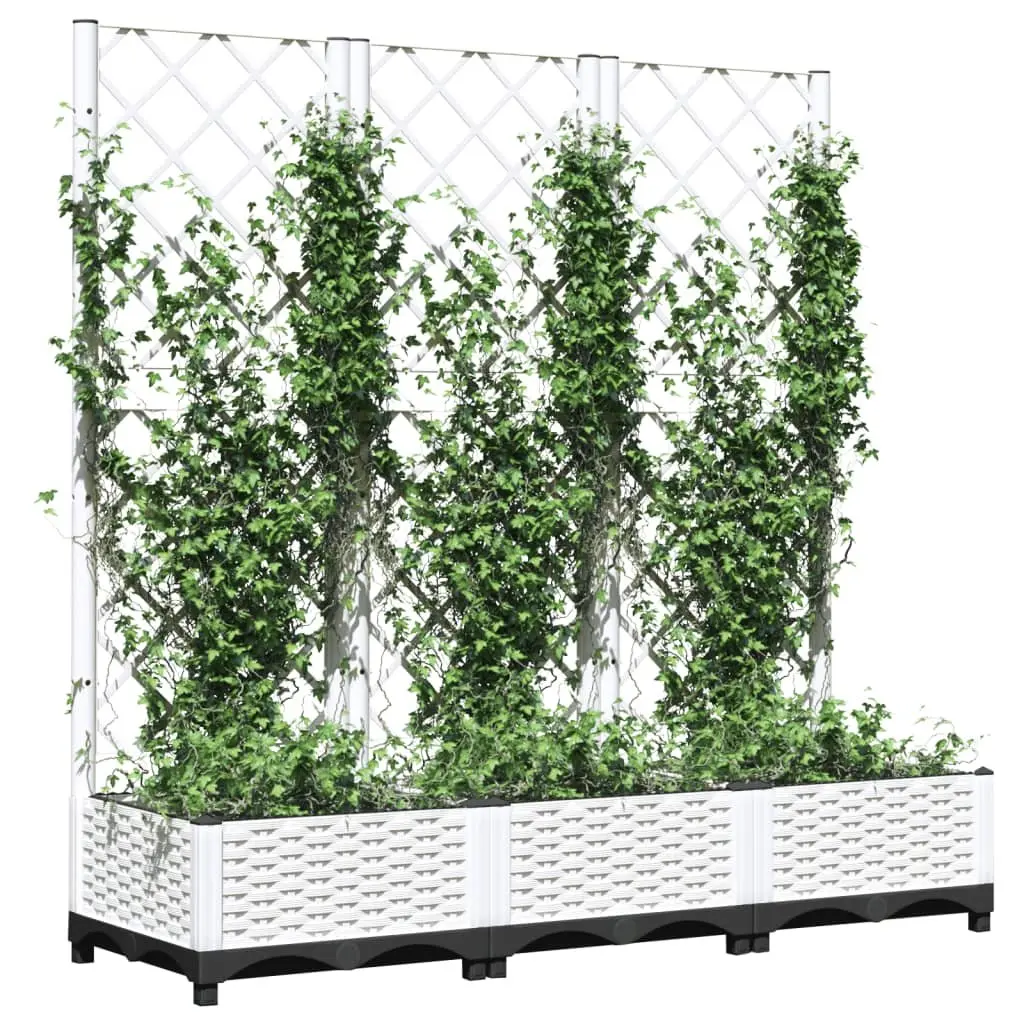Garden Planter Trellis Climbing Plants Support 120 x 40 x 121.5 cm White