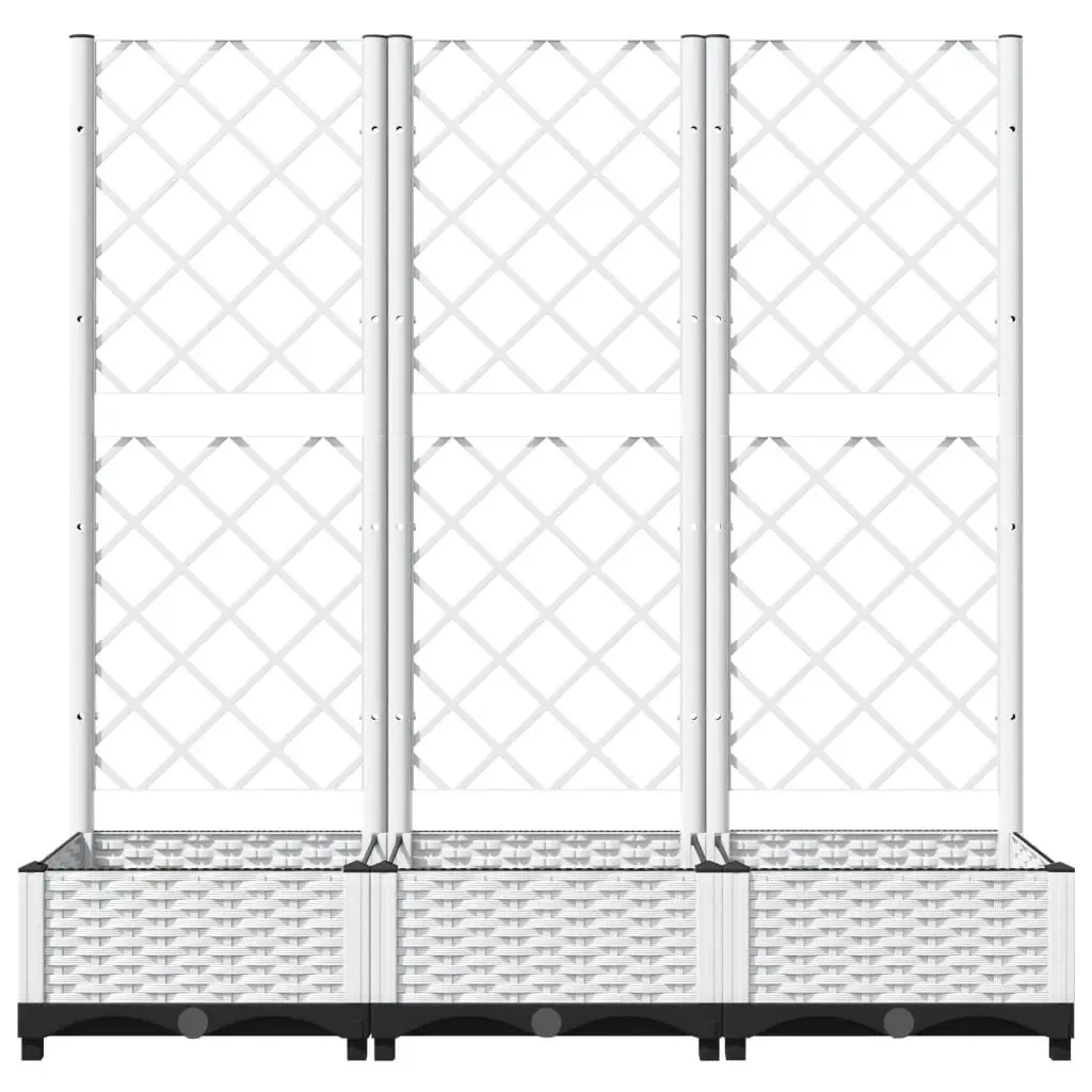 Garden Planter Trellis Climbing Plants Support 120 x 40 x 121.5 cm White