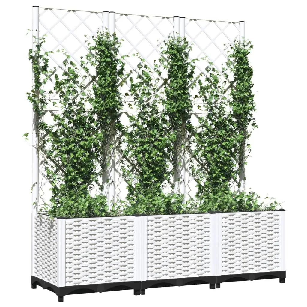 Garden Planter Climbing Plants Support 120x40x136cm White