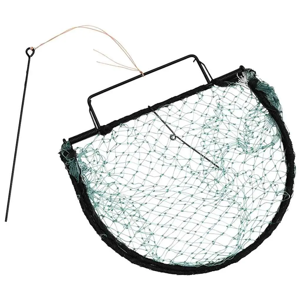 Bird Trap Humane Pest Control 30cm Reusable Foldable Outdoor Garden