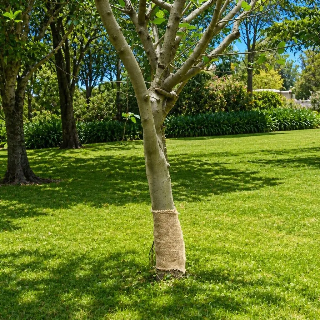 Jute Roll Natural 0.25m x 100m Craft Decor Wedding Party Table