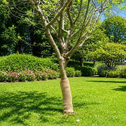 Natural Jute Roll 0.5x15m: Practical and Valuable