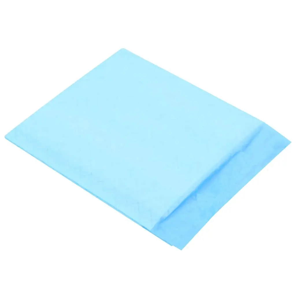 Pet Training Pads Indoor Use 45x33cm Non Woven 400 Pack