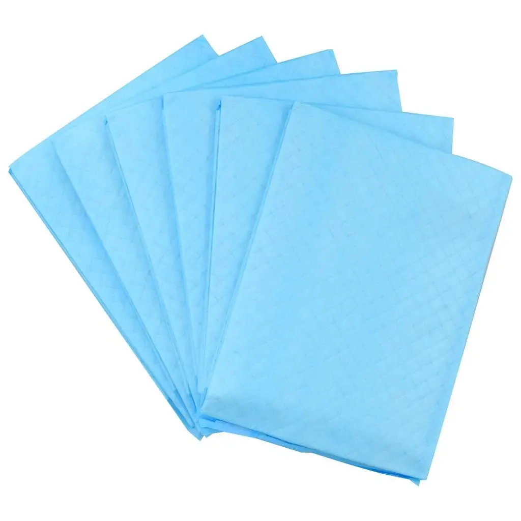 Absorbent Dog Training Pads 60x45cm Non Woven for Puppy Toilet Training 100 Pack