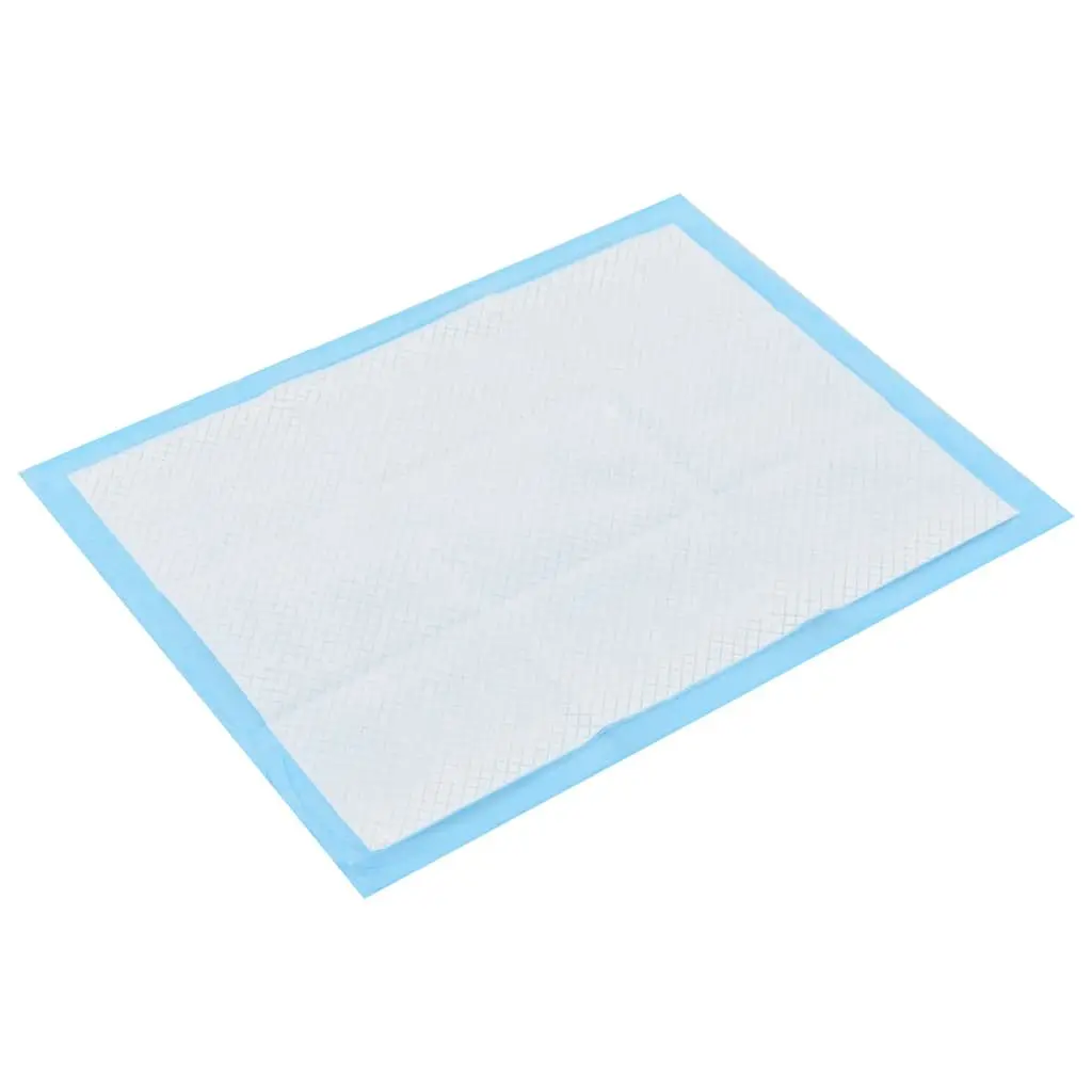 Absorbent Dog Training Pads 60x45cm Non Woven for Puppy Toilet Training 100 Pack