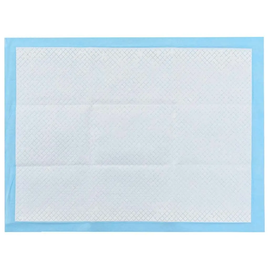 Absorbent Dog Training Pads 60x45cm Non Woven for Puppy Toilet Training 100 Pack