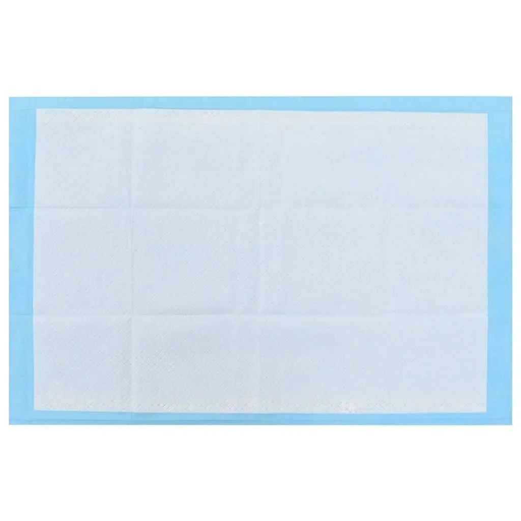 Absorbent Puppy Training Pads 90x60cm for Dog Toilet Training 200 Pack