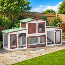 Reliable Outdoor Rabbit Hutch with Two-Tier Structure