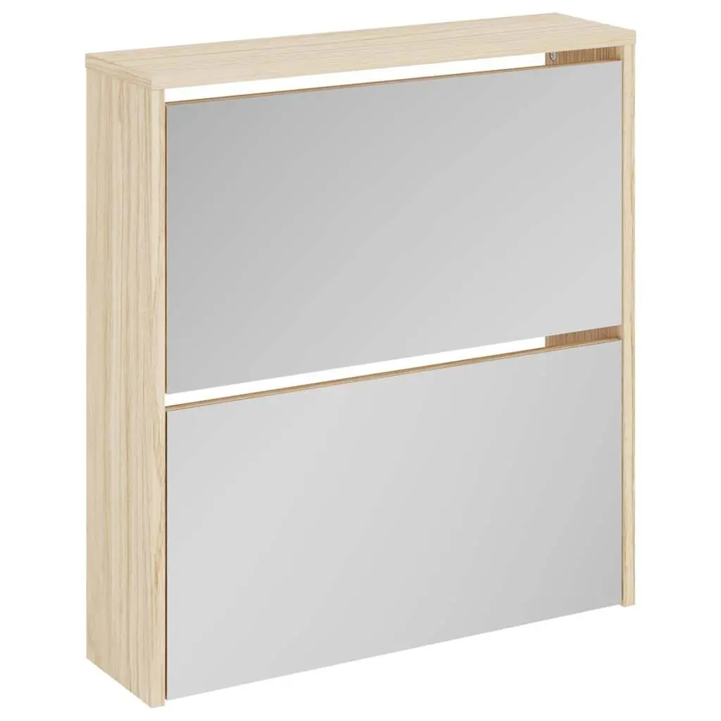Shoe Cabinet 2-Layer Organiser Wall Mounted Brown