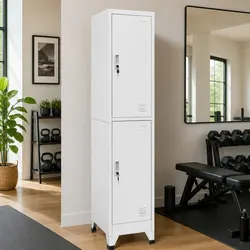 Secure and Convenient 2-Compartment Locker Cabinet