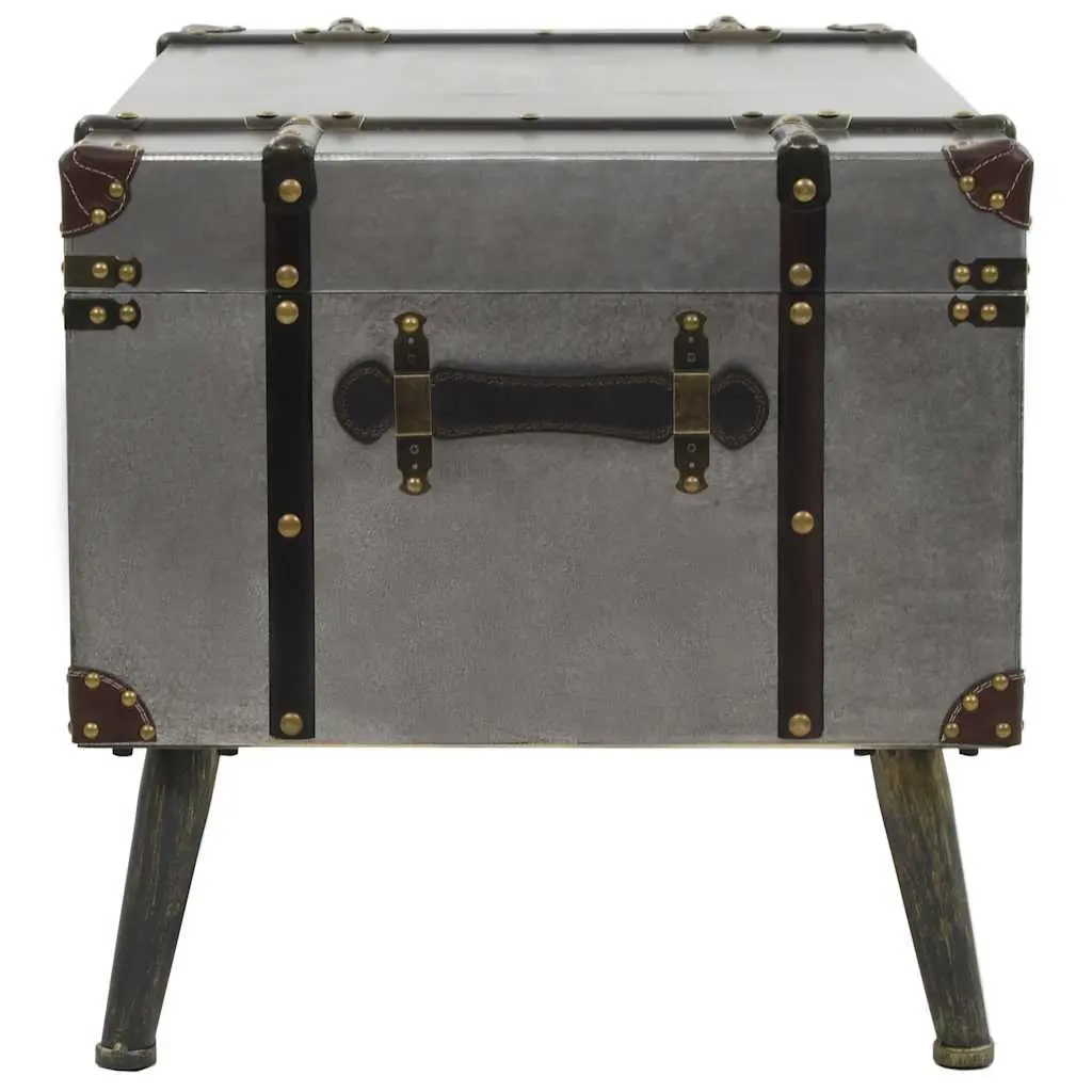 Coffee Table Trunk Design Storage MDF Aluminium Silver Accent Living Room