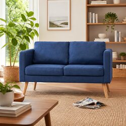 Comfortable and Practical 2-Seater Blue Sofa for Your Home