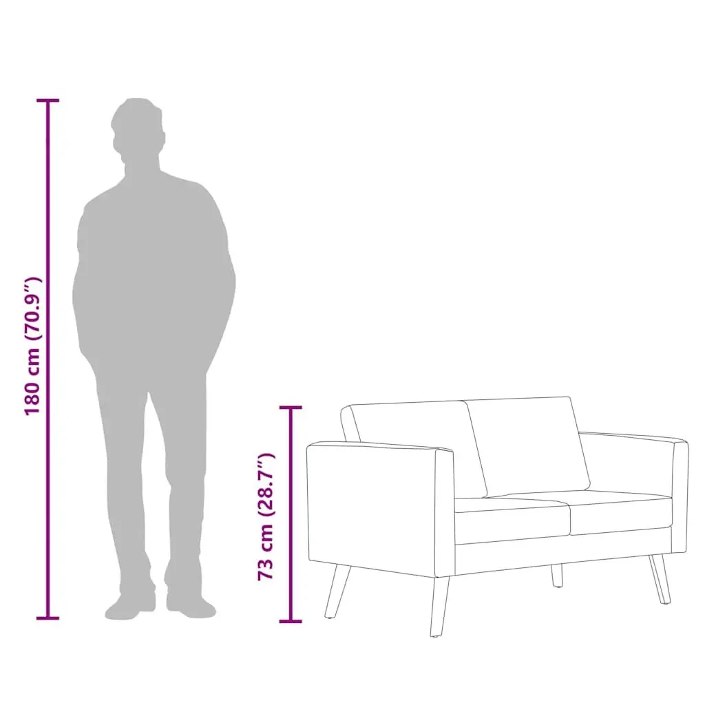 Black 2-Seater Sofa