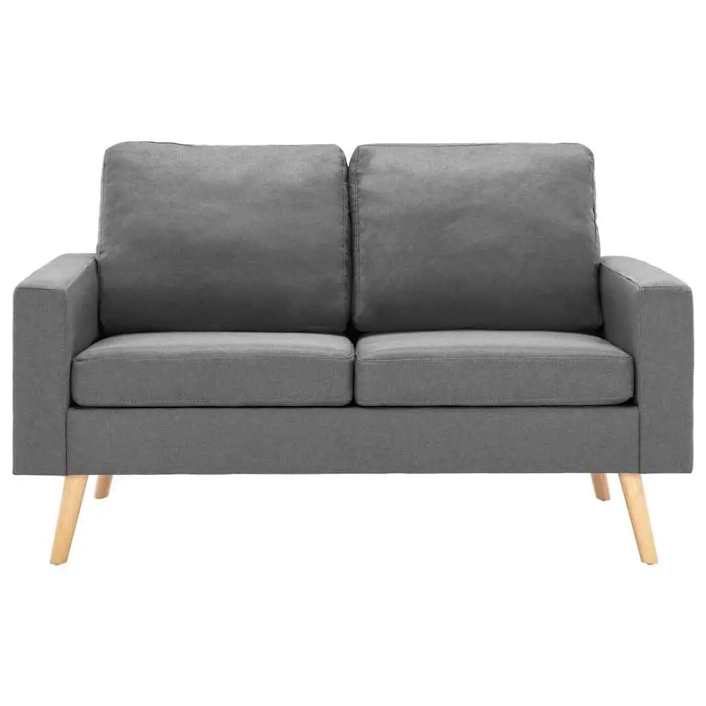 2-Seater Sofa Grey Fabric Upholstered Couch with Padded Cushions