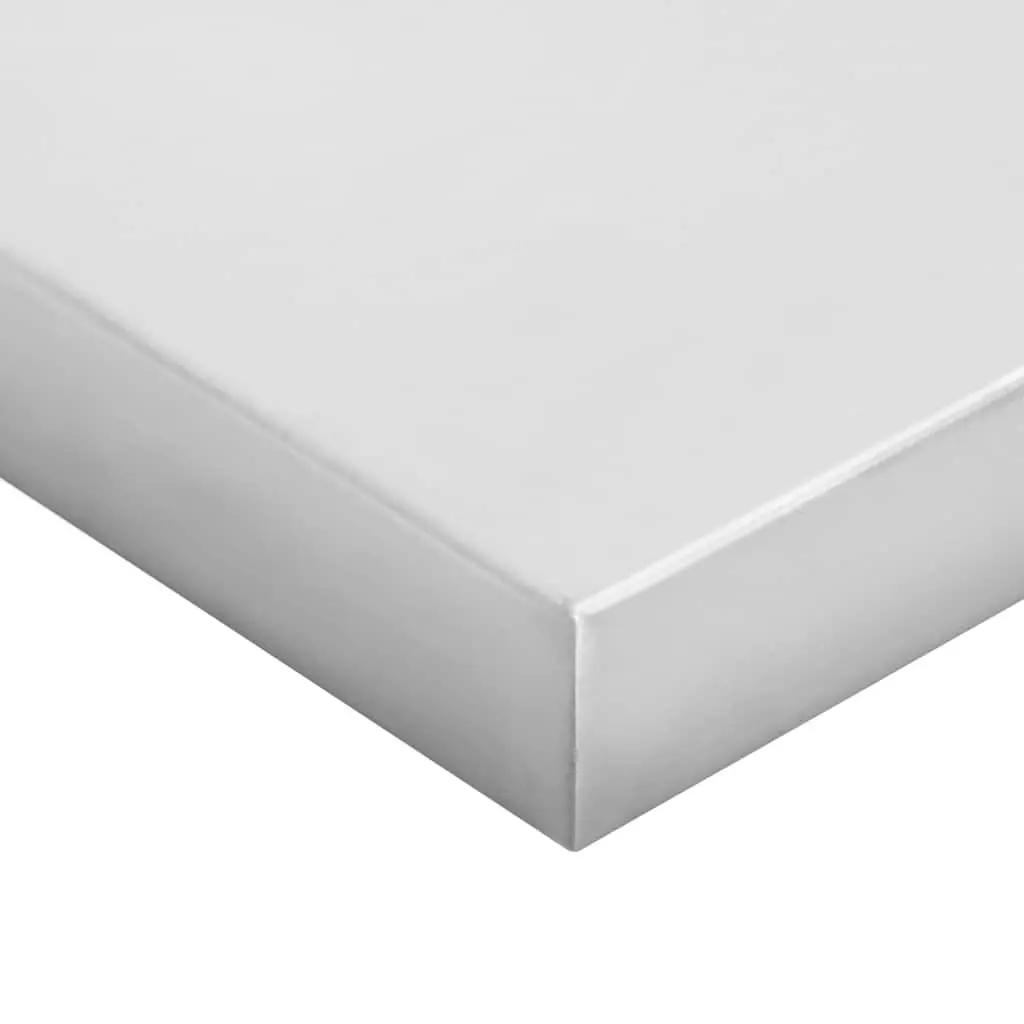 Wall Shelves 2 pcs 100x30 cm Silver Floating Storage Shelving Home Decor