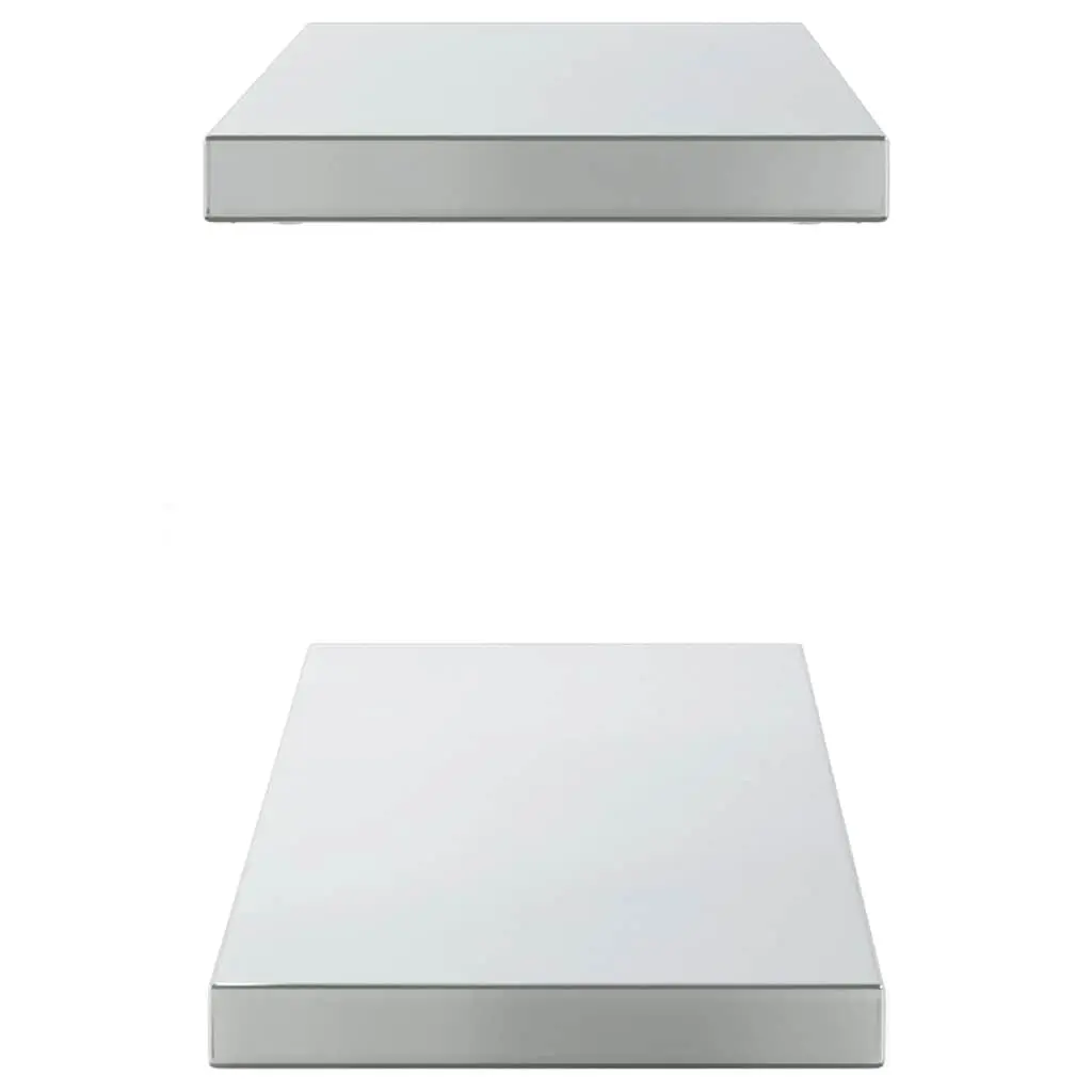 Wall Shelves Storage Display 100x23.5 cm Silver Stainless Steel 2 Piece