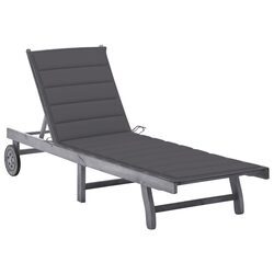 Comfortable Outdoor Lounger with Adjustable Features