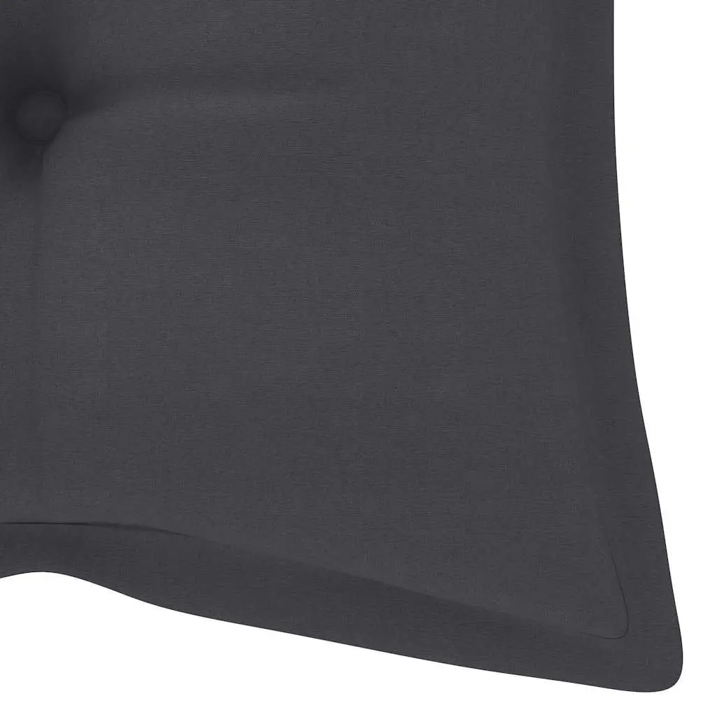 Outdoor Garden Bench with Cushion