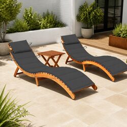 Comfortable and Durable 2-Piece Loungers Set for Outdoors