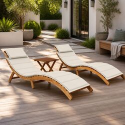 Comfort and Quality with Sun Loungers Set