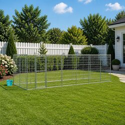 Reliable Outdoor Dog Kennel with Canopy Roof